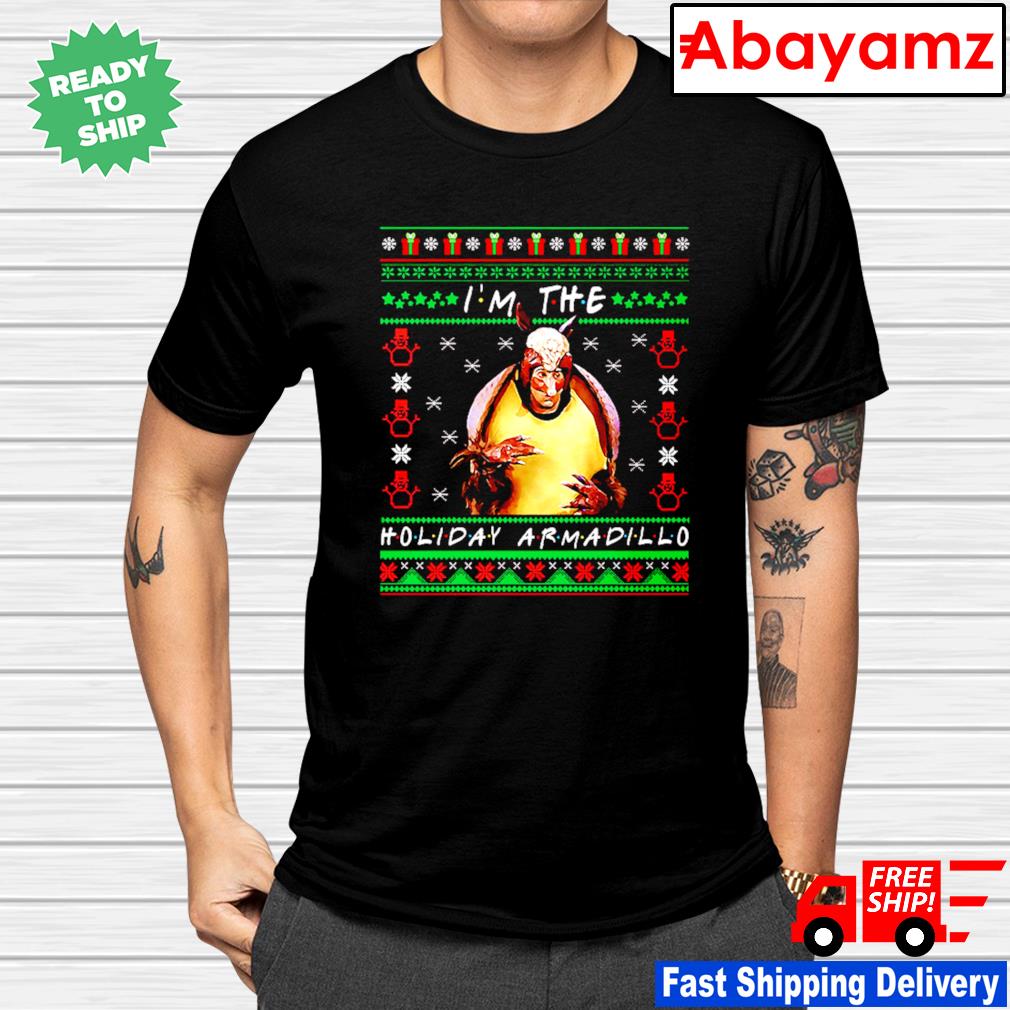 friends holiday armadillo sweater