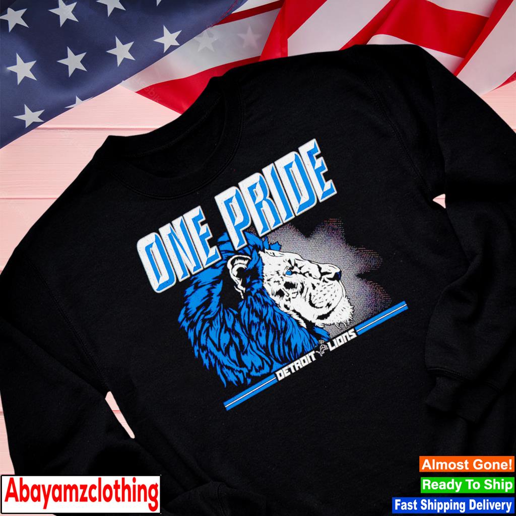 Detroit lions apparel one pride detroit lions gear vintage detroit lions  shirt, hoodie, sweater, long sleeve and tank top